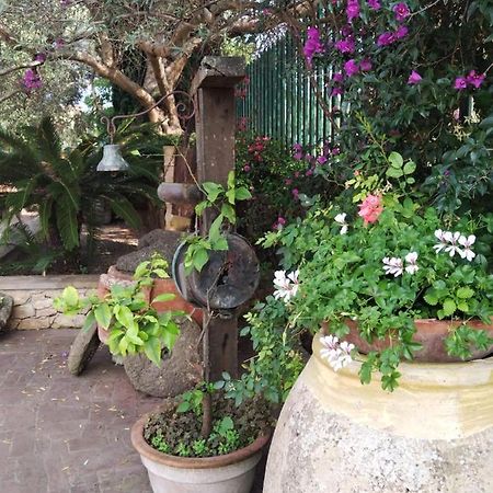 Il Casale Del Cortonese Leilighet Sassari Eksteriør bilde